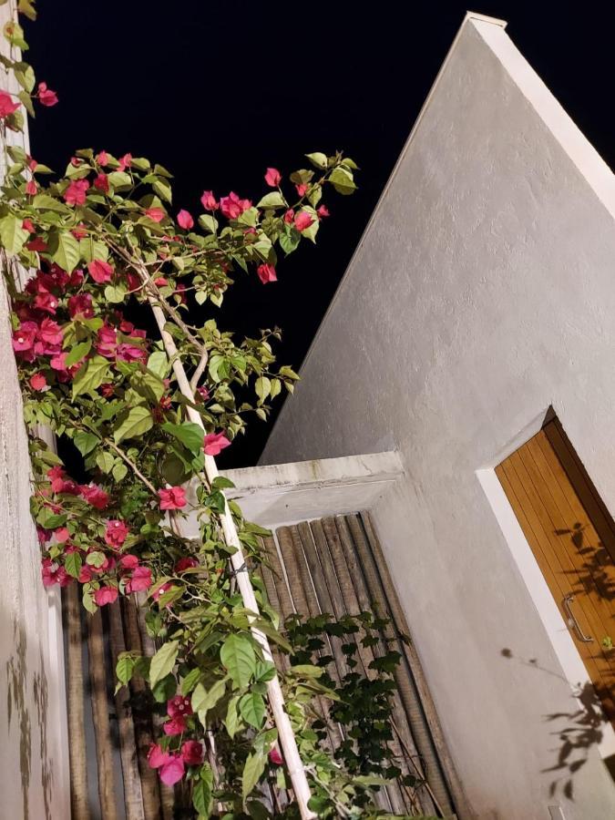 فيلا Statera Host Alto Paraíso de Goiás المظهر الخارجي الصورة